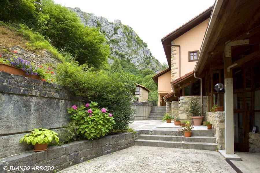 La Casona De Mestas Ponga Εξωτερικό φωτογραφία